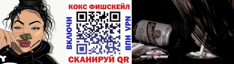 Купить закладки  Йошкар-Ола  COCAIN Боливия 