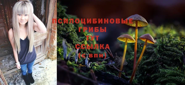 марки nbome Нязепетровск
